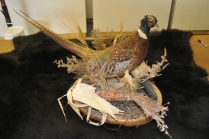 Pheasant_$175